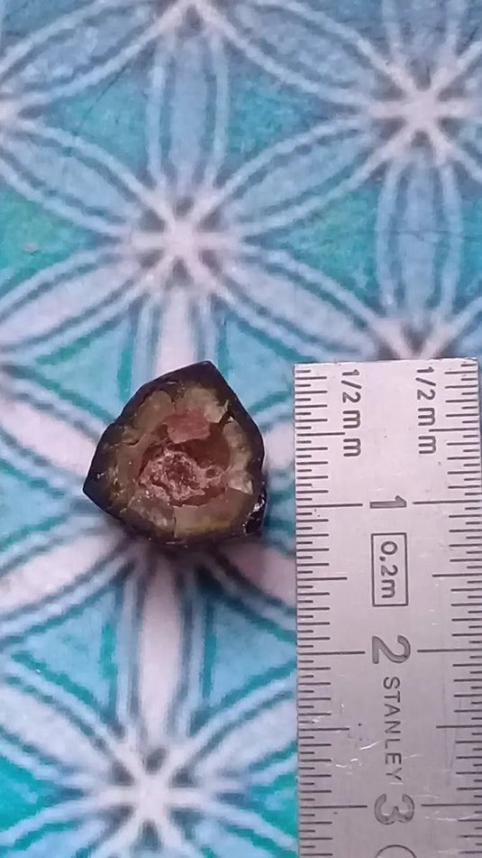 Tourmaline melon d’eau fragment brut Grade A ++++ (Rare) Tourmaline melon d’eau fragment brut Grade A ++++