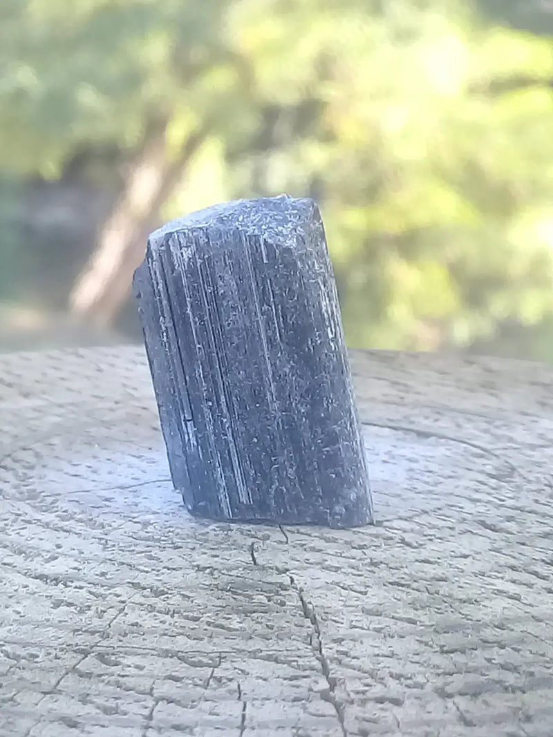 Load image into Gallery viewer, Tourmaline noire Schörl Grade A ++++ Tourmaline noire Schörl
