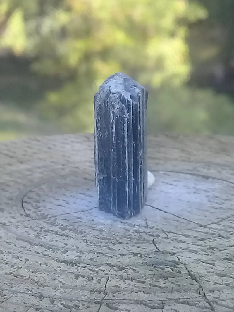 Load image into Gallery viewer, Tourmaline noire Schörl Grade A ++++ Tourmaline noire Schörl
