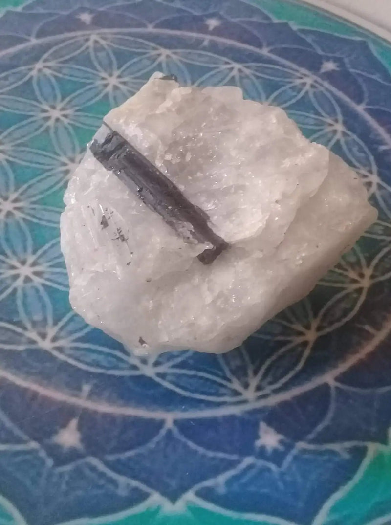 Load image into Gallery viewer, Tourmaline noire Schörl sur matrice de quartz Grade A ++++ Tourmaline noire Schörl sur matrice de quartz
