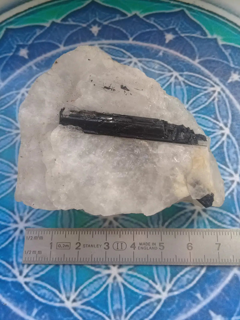 Load image into Gallery viewer, Tourmaline noire Schörl sur matrice de quartz Grade A ++++ Tourmaline noire Schörl sur matrice de quartz
