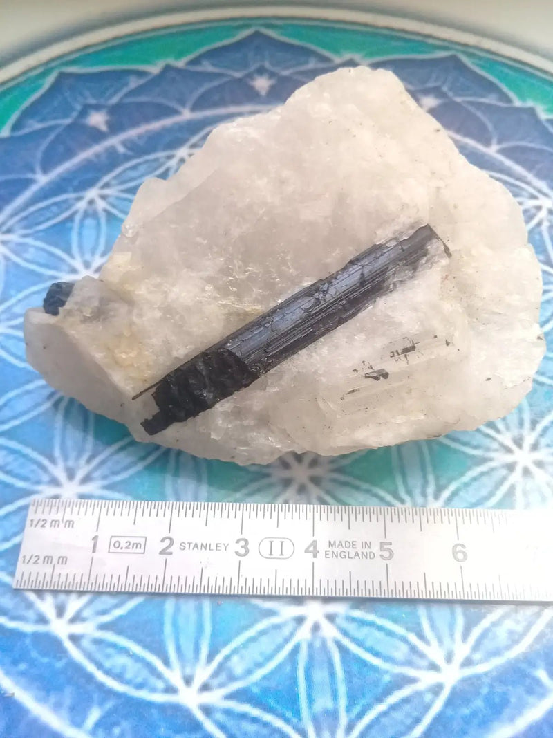 Load image into Gallery viewer, Tourmaline noire Schörl sur matrice de quartz Grade A ++++ Tourmaline noire Schörl sur matrice de quartz
