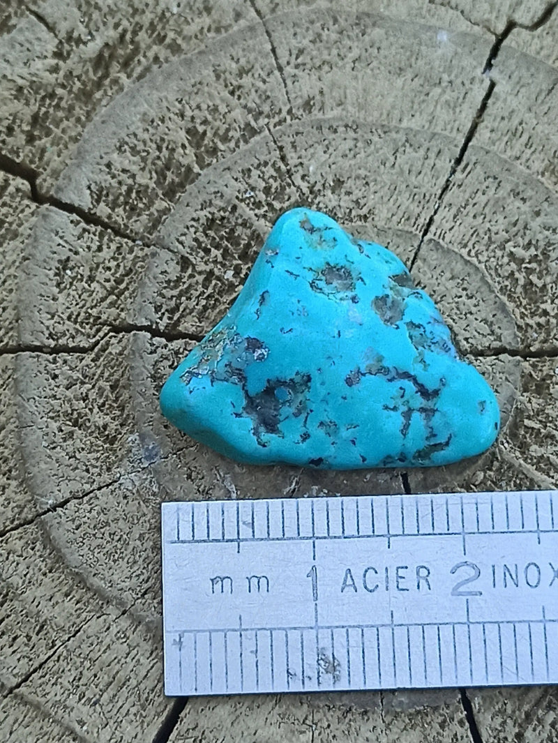 Load image into Gallery viewer, Turquoise VERITABLE d’Arizona pierre roulée Grade A++++ Turquoise d&#39;Arizona Dans la besace du p&#39;tit Poucet   
