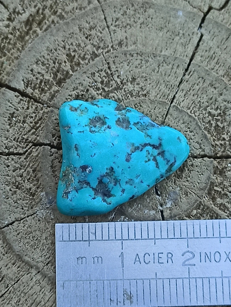 Load image into Gallery viewer, Turquoise VERITABLE d’Arizona pierre roulée Grade A++++ Turquoise d&#39;Arizona Dans la besace du p&#39;tit Poucet   
