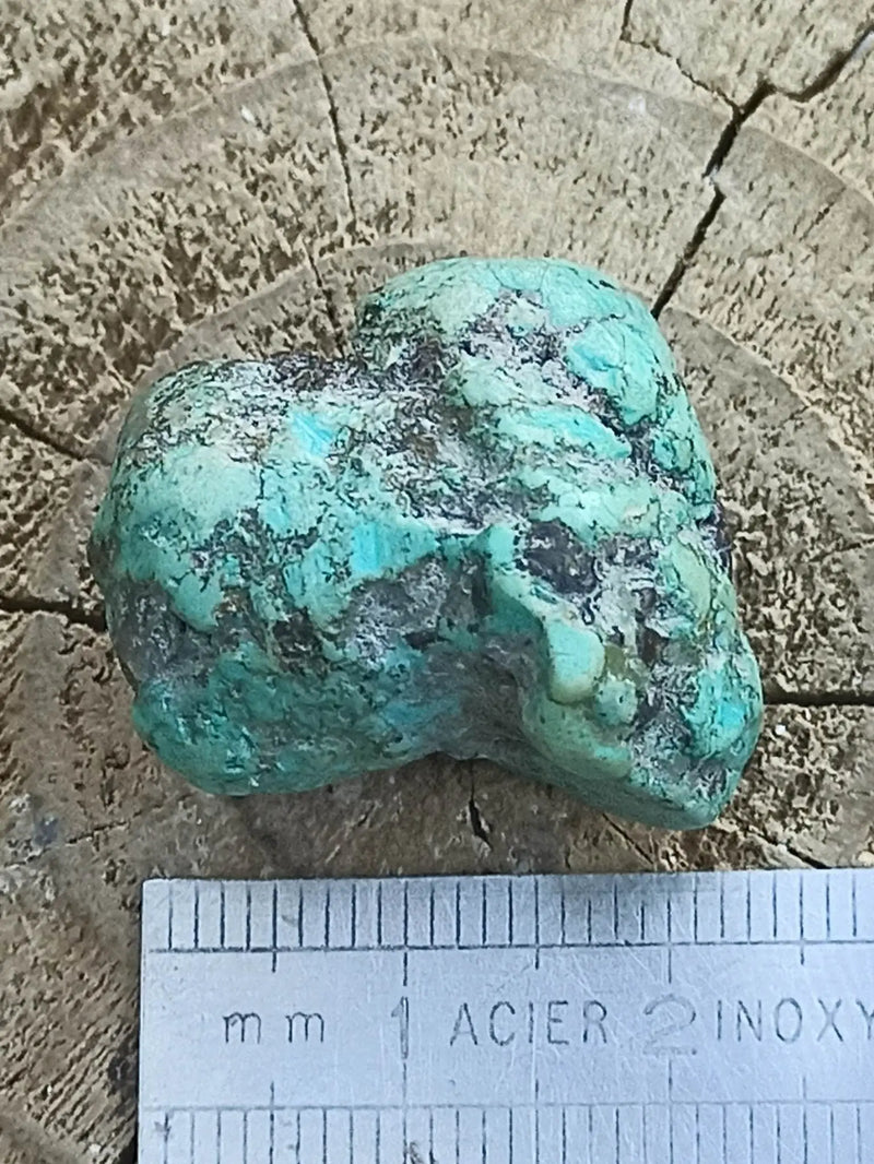 Carica immagine in Galleria Viewer, Turquoise VERITABLE d’ARIZONA pierre roulée Grade A++++ Turquoise d&#39;Arizona Dans la besace du p&#39;tit Poucet   
