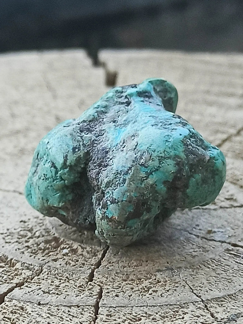 Laden Sie das Bild in Galerie -Viewer, Turquoise VERITABLE d’ARIZONA pierre roulée Grade A++++ Turquoise d&#39;Arizona Dans la besace du p&#39;tit Poucet   
