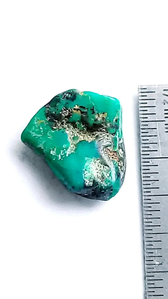 Turquoise VERITABLE du Mexique pierre roulée Grade A ++++ Turquoise du Mexique