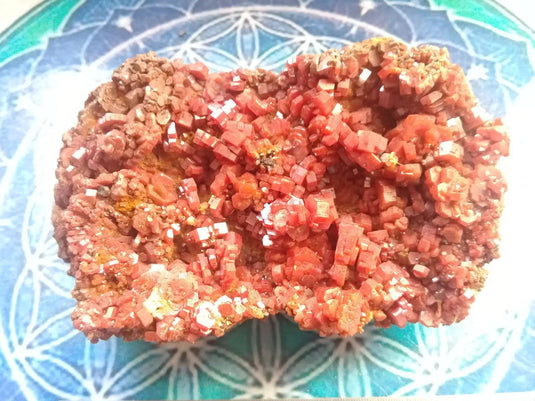 Vanadinite du Mexique Grade A ++++ pierre de collection Vanadinite cristallisée du Mexique