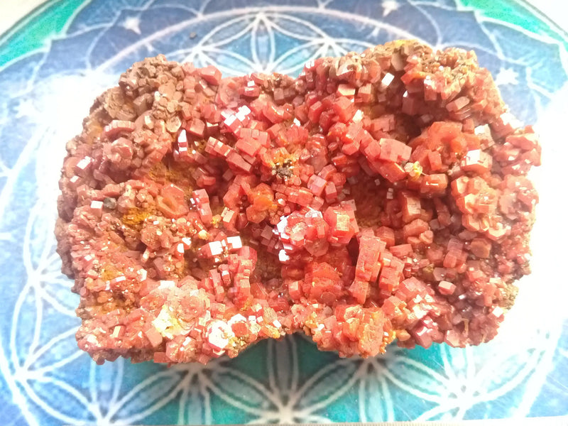 Load image into Gallery viewer, Vanadinite du Mexique Grade A ++++ pierre de collection Vanadinite cristallisée du Mexique Dans la besace du p&#39;tit Poucet...   
