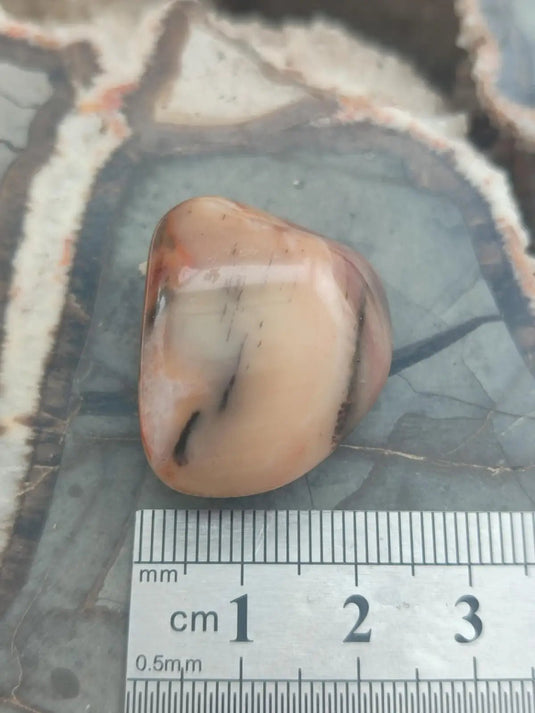 Vogésite des berges de la Salm Vosges France - Pierre roulée - Grade Prémium Vogésite pierre roulée