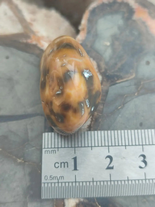 Vogésite des berges de la Salm Vosges France - Pierre roulée - Grade Prémium Vogésite pierre roulée