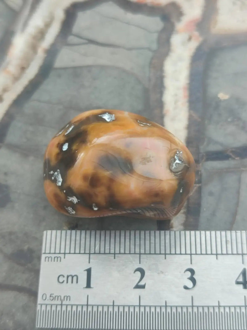 Load image into Gallery viewer, Vogésite des berges de la Salm Vosges France - Pierre roulée - Grade Prémium Vogésite pierre roulée
