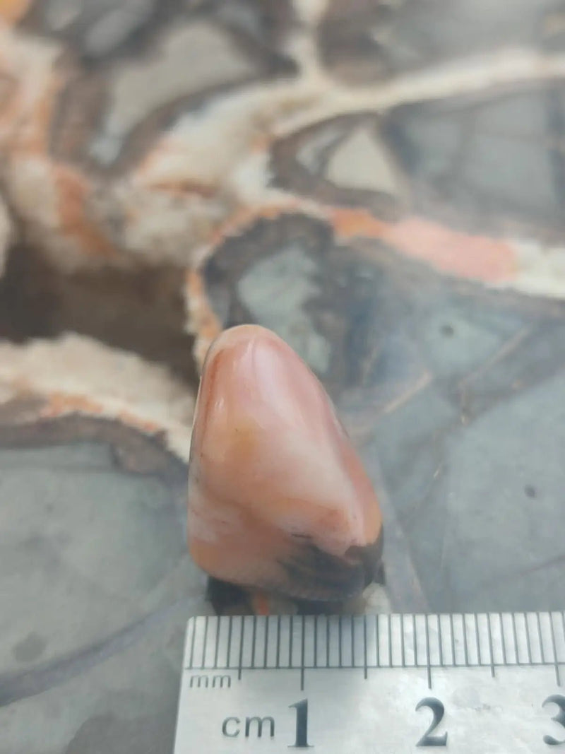 Load image into Gallery viewer, Vogésite des berges de la Salm Vosges France - Pierre roulée - Grade Prémium Vogésite pierre roulée
