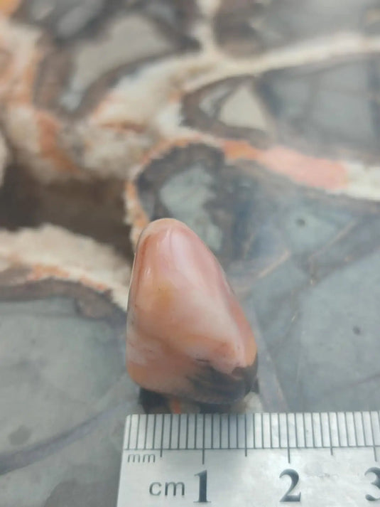 Vogésite des berges de la Salm Vosges France - Pierre roulée - Grade Prémium Vogésite pierre roulée