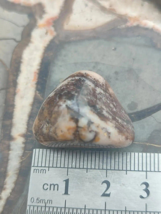 Vogésite des berges de la Salm Vosges France - Pierre roulée - Grade Prémium Vogésite pierre roulée