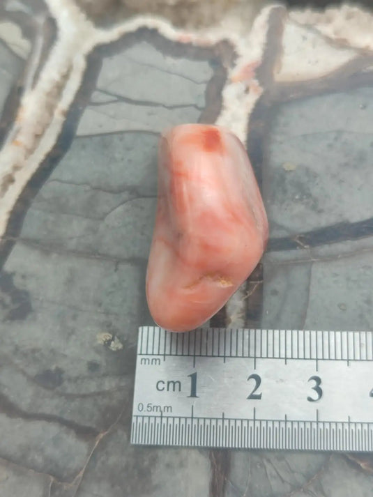 Vogésite des berges de la Salm Vosges France - Pierre roulée - Grade Prémium Vogésite pierre roulée