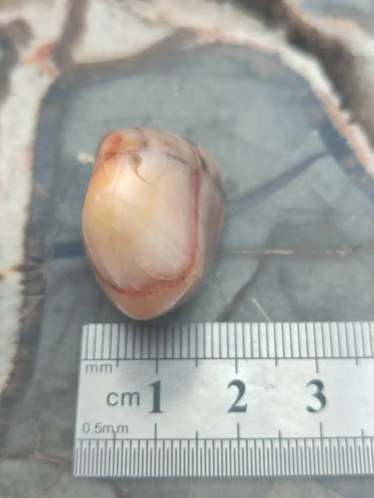 Vogésite des berges de la Salm Vosges France - Pierre roulée - Grade Prémium Vogésite pierre roulée