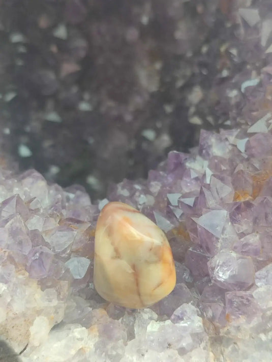 Vogésite des berges de la Salm Vosges France - Pierre roulée - Grade Prémium Vogésite pierre roulée