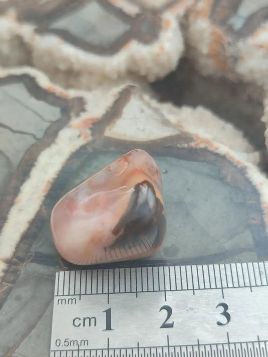 Vogésite des berges de la Salm Vosges France - Pierre roulée - Grade Prémium Vogésite pierre roulée