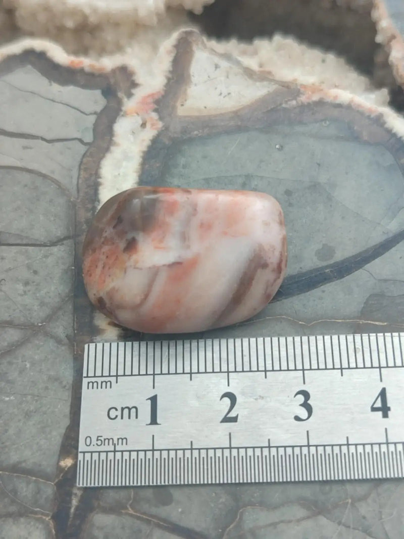 Load image into Gallery viewer, Vogésite des berges de la Salm Vosges France - Pierre roulée - Grade Prémium Vogésite pierre roulée
