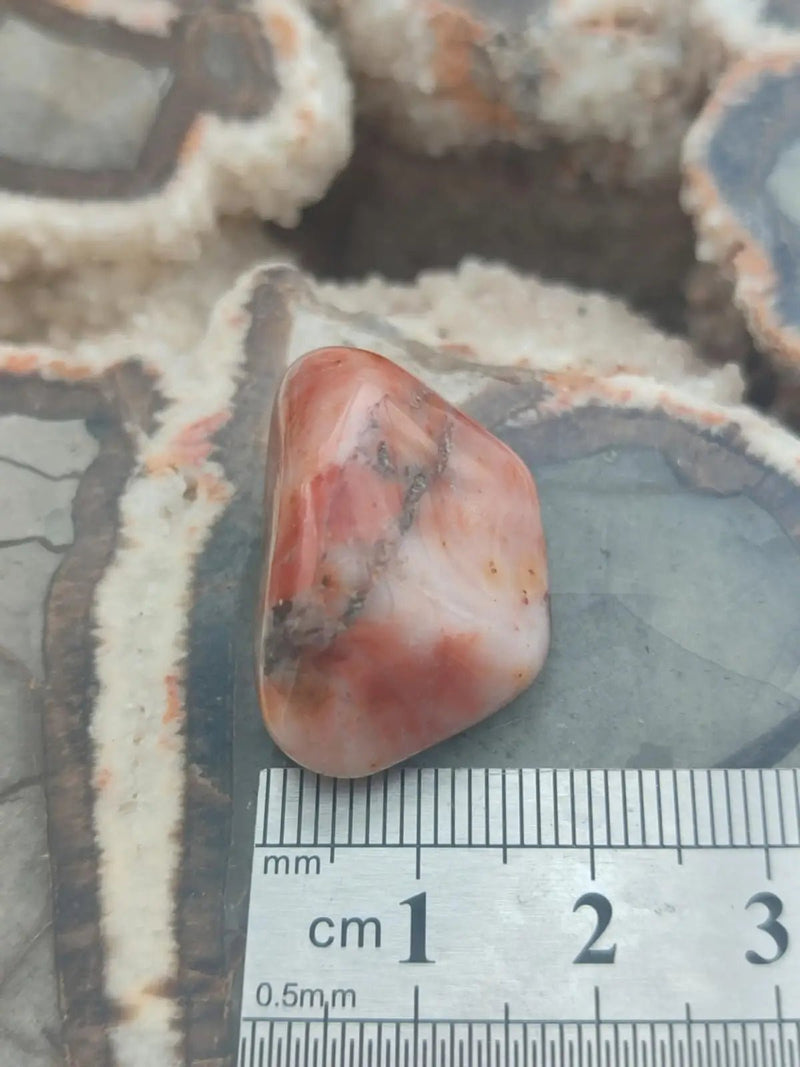 Load image into Gallery viewer, Vogésite des berges de la Salm Vosges France - Pierre roulée - Grade Prémium Vogésite pierre roulée
