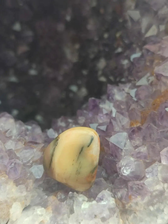 Vogésite des berges de la Salm Vosges France - Pierre roulée - Grade Prémium Vogésite pierre roulée