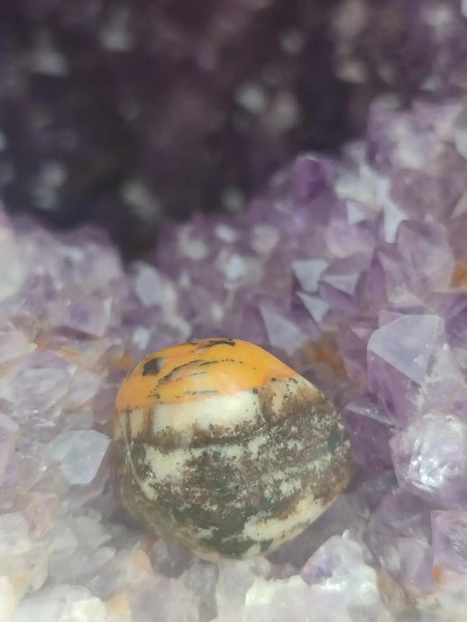 Vogésite des berges de la Salm Vosges France - Pierre roulée - Grade Prémium Vogésite pierre roulée