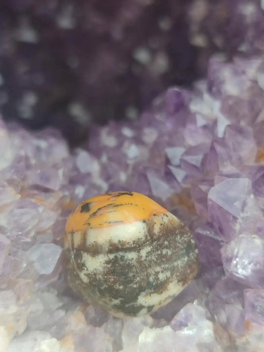 Vogésite des berges de la Salm Vosges France - Pierre roulée - Grade Prémium Vogésite pierre roulée