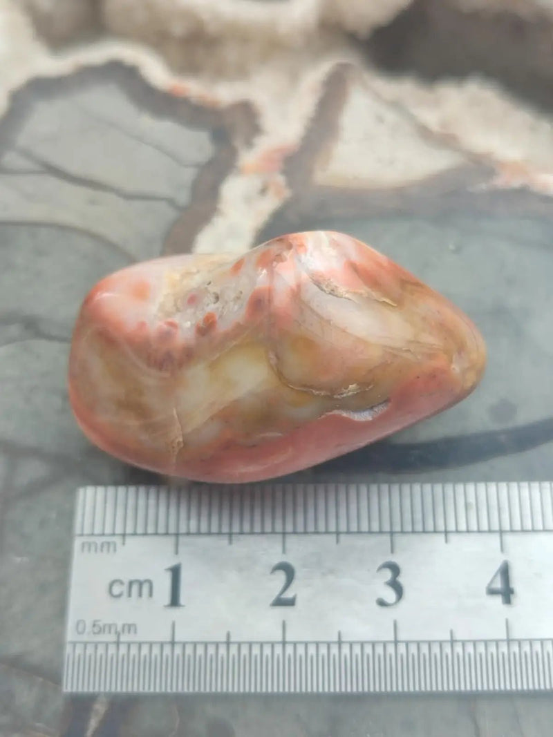 Load image into Gallery viewer, Vogésite des berges de la Salm Vosges France - Pierre roulée - Grade Prémium Vogésite pierre roulée
