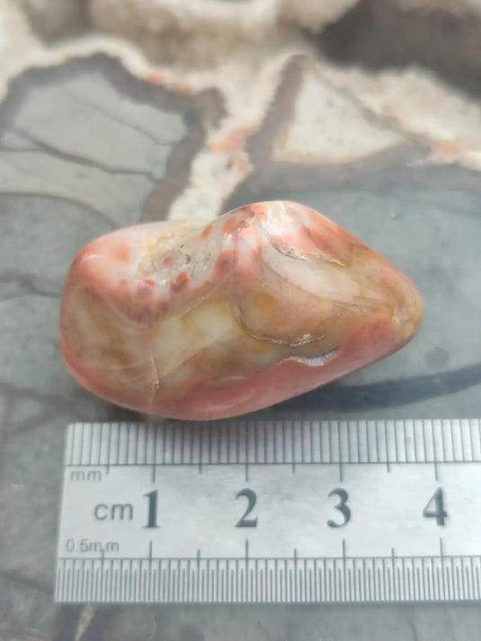 Vogésite des berges de la Salm Vosges France - Pierre roulée - Grade Prémium Vogésite pierre roulée