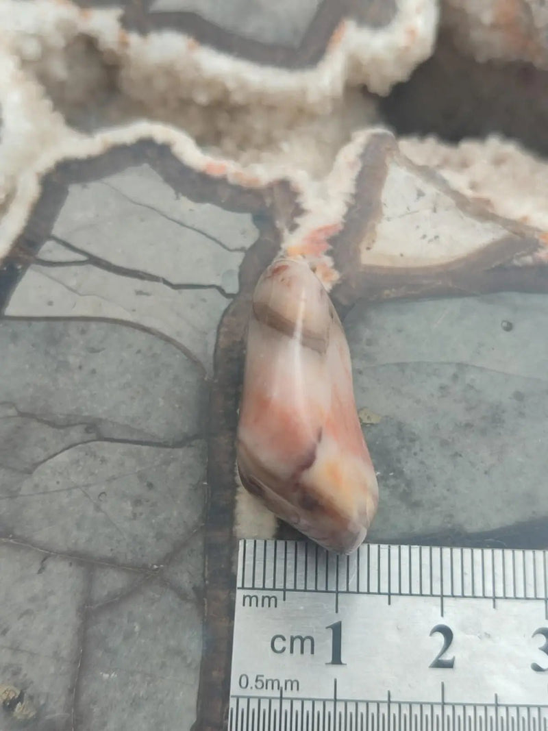 Load image into Gallery viewer, Vogésite des berges de la Salm Vosges France - Pierre roulée - Grade Prémium Vogésite pierre roulée
