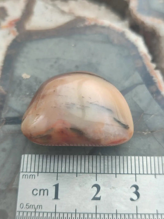 Vogésite des berges de la Salm Vosges France - Pierre roulée - Grade Prémium Vogésite pierre roulée