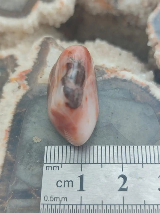 Vogésite des berges de la Salm Vosges France - Pierre roulée - Grade Prémium Vogésite pierre roulée