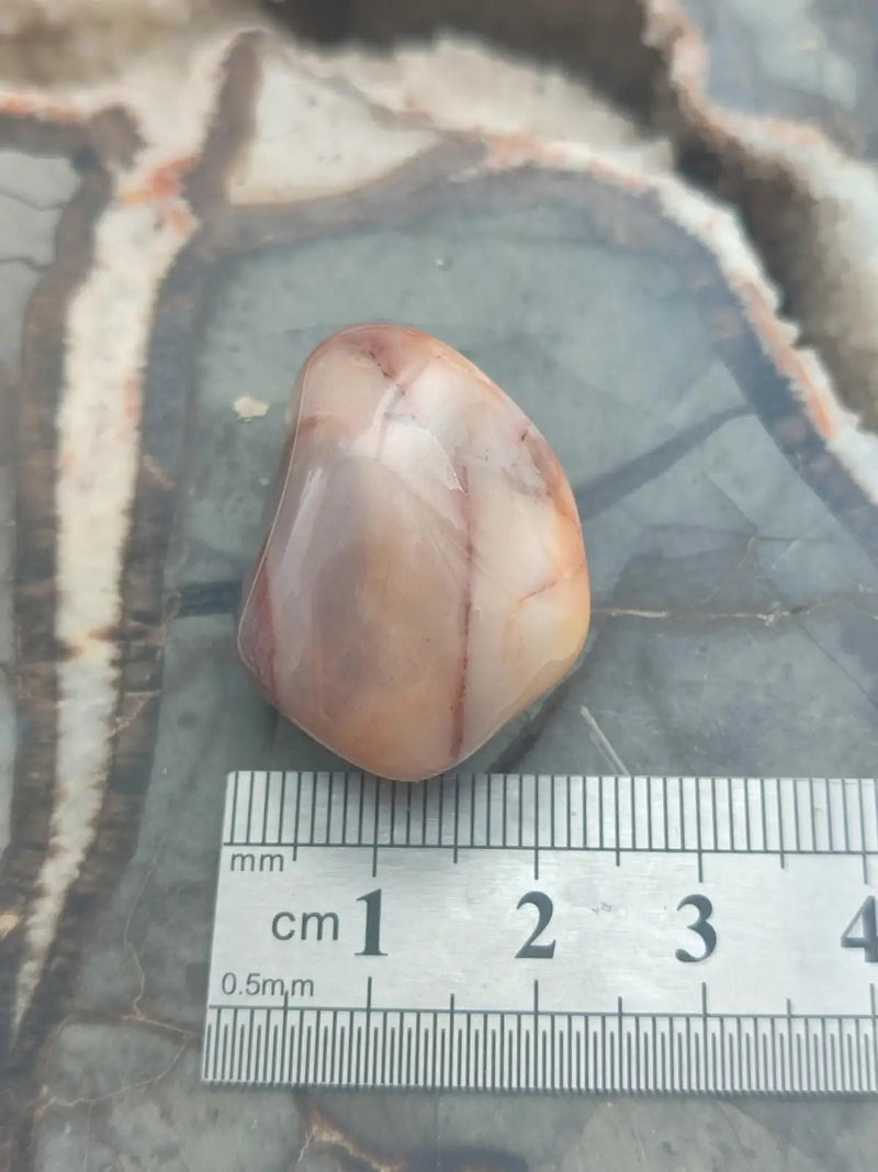 Load image into Gallery viewer, Vogésite des berges de la Salm Vosges France - Pierre roulée - Grade Prémium Vogésite pierre roulée
