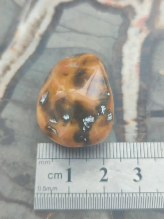 Vogésite des berges de la Salm Vosges France - Pierre roulée - Grade Prémium Vogésite pierre roulée