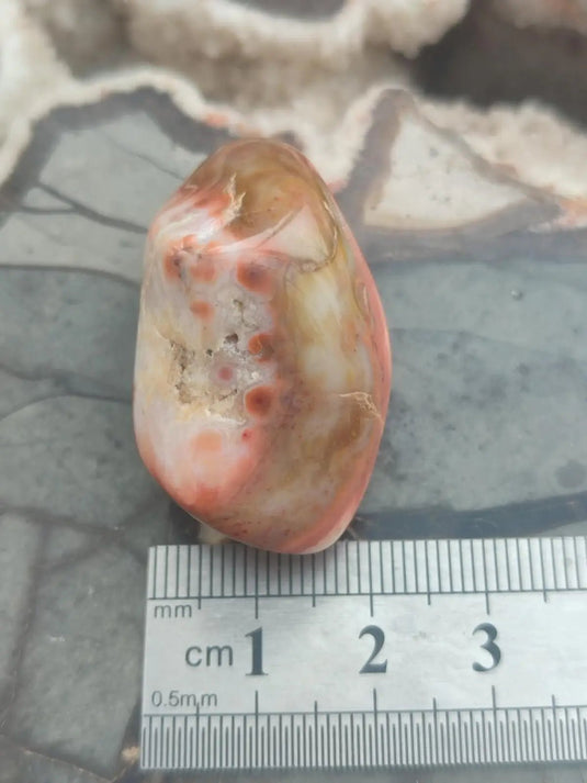 Vogésite des berges de la Salm Vosges France - Pierre roulée - Grade Prémium Vogésite pierre roulée