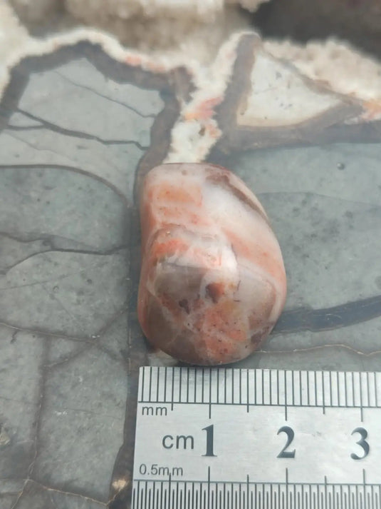 Vogésite des berges de la Salm Vosges France - Pierre roulée - Grade Prémium Vogésite pierre roulée