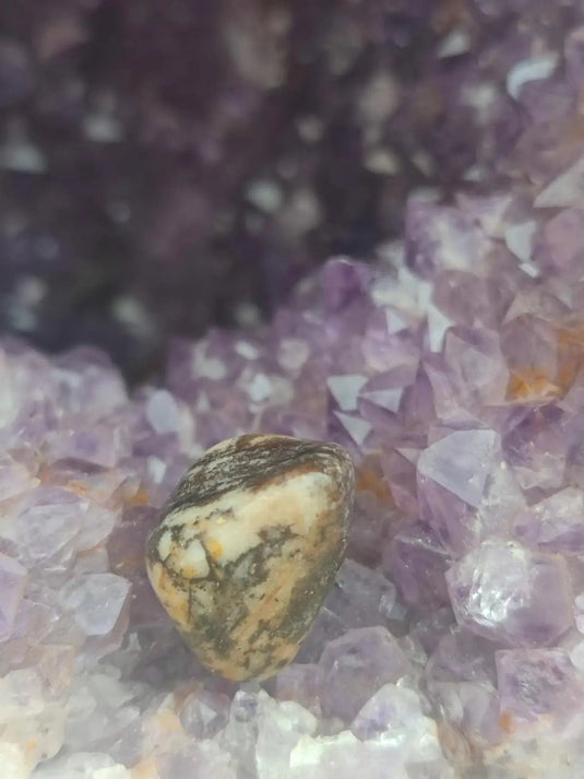 Vogésite des berges de la Salm Vosges France - Pierre roulée - Grade Prémium Vogésite pierre roulée