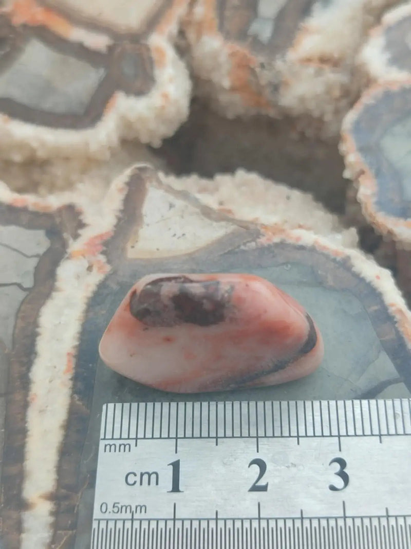 Load image into Gallery viewer, Vogésite des berges de la Salm Vosges France - Pierre roulée - Grade Prémium Vogésite pierre roulée
