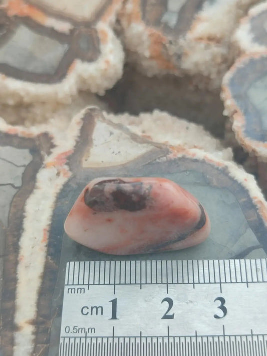 Vogésite des berges de la Salm Vosges France - Pierre roulée - Grade Prémium Vogésite pierre roulée