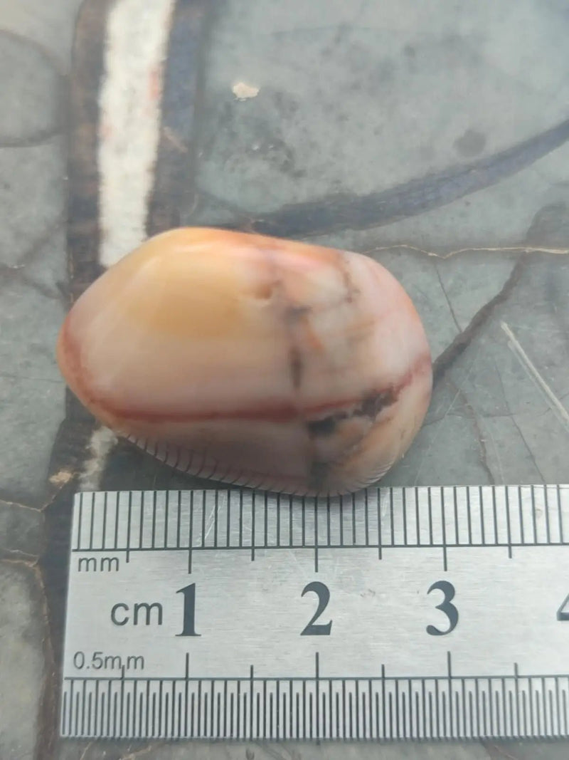 Load image into Gallery viewer, Vogésite des berges de la Salm Vosges France - Pierre roulée - Grade Prémium Vogésite pierre roulée
