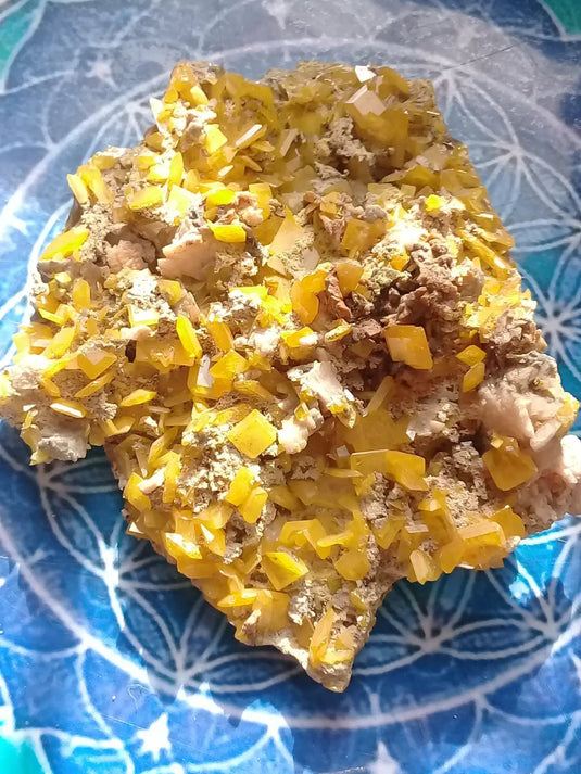 Wulfénite d’Arizona pierre brute de collection Grade A ++++ Wulfénite d’Arizona