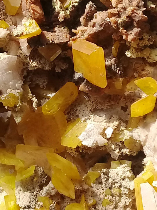 Wulfénite d’Arizona pierre brute de collection Grade A ++++ Wulfénite d'Arizona Dans la besace du p'tit Poucet...   