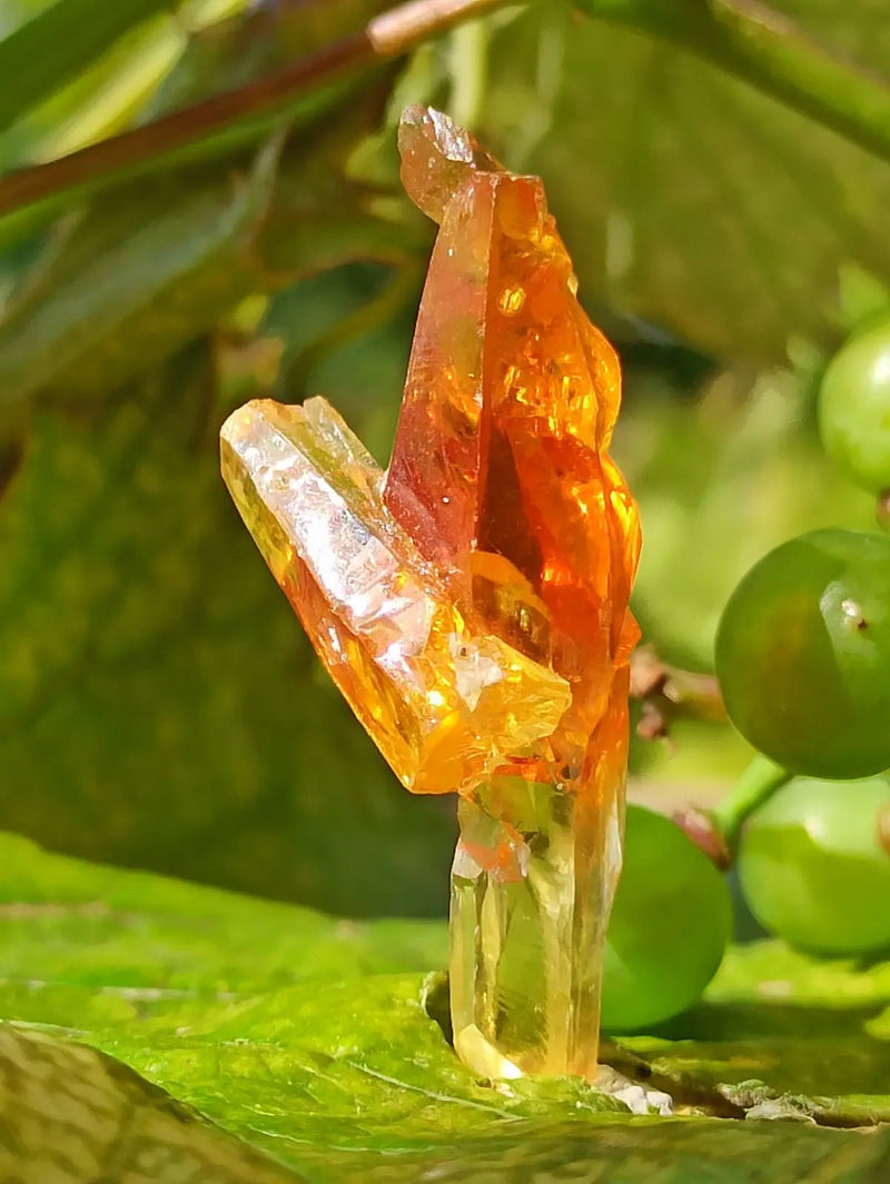 Chargez l&#39;image dans la visionneuse de la galerie, Zincite du Brésil pierre brute ’RARE’ Grade A++++ Zincite du Brésil pierre brute
