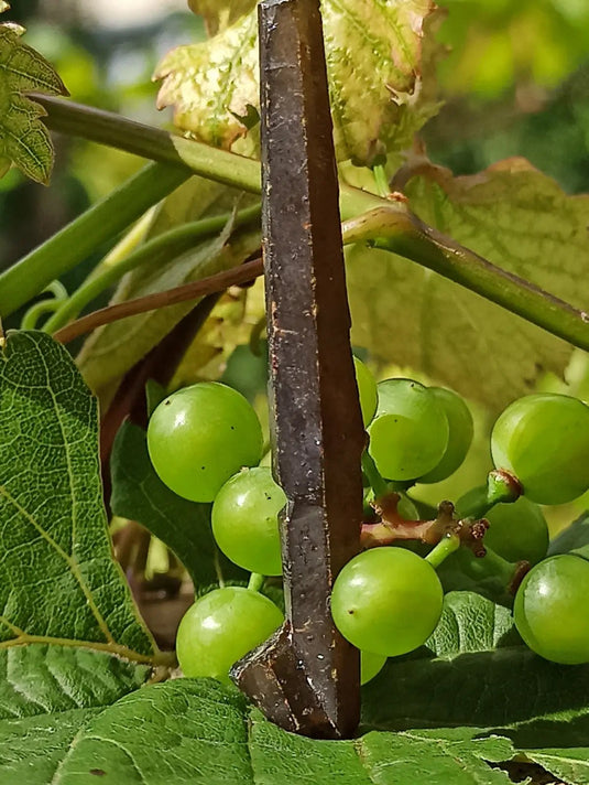 Zincite du Brésil pierre brute ’RARE’ Grade A++++ Zincite du Brésil pierre brute